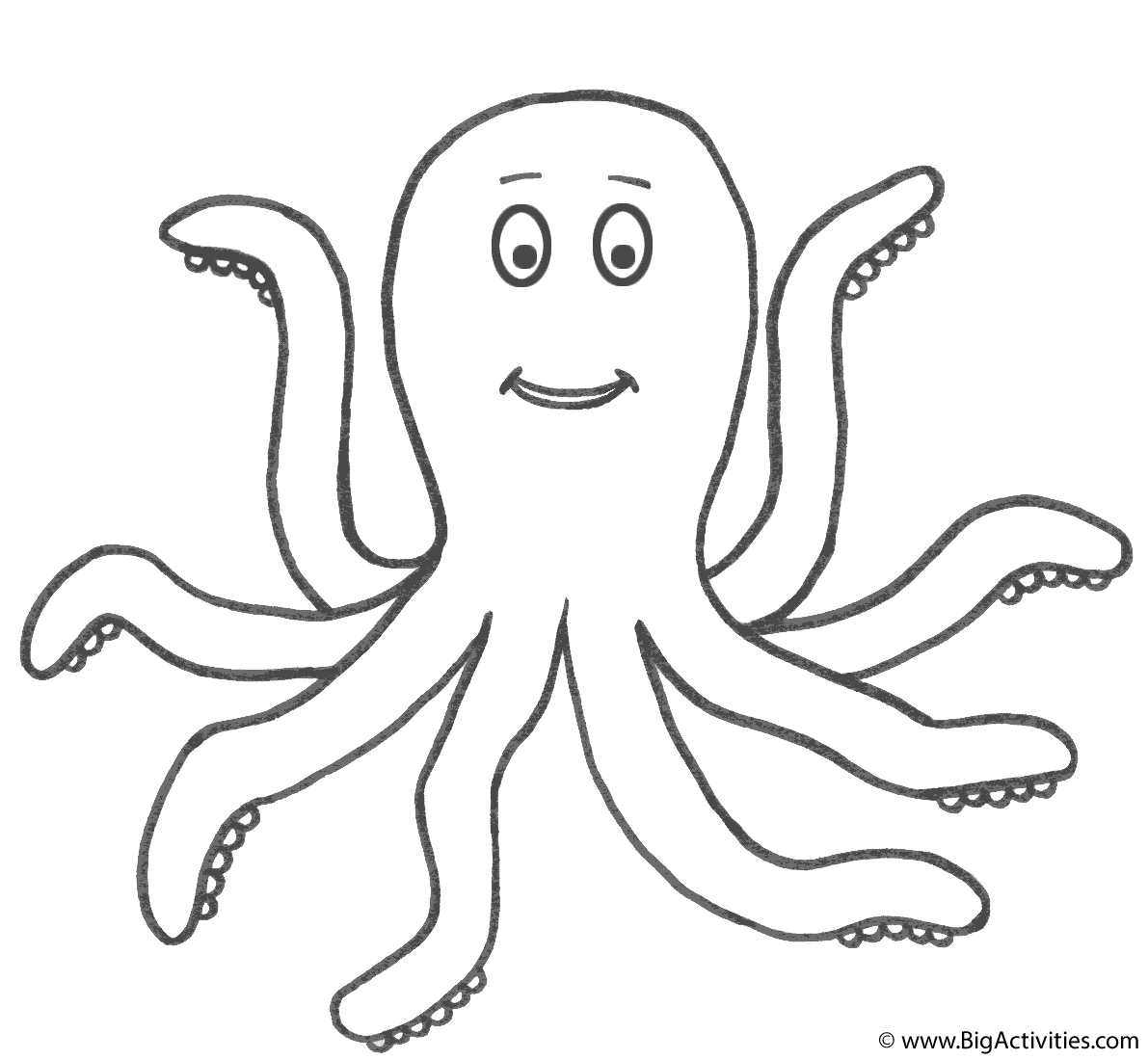 Colouring In Octopus