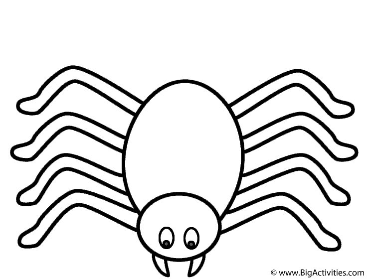 Spider Coloring Page (Halloween)