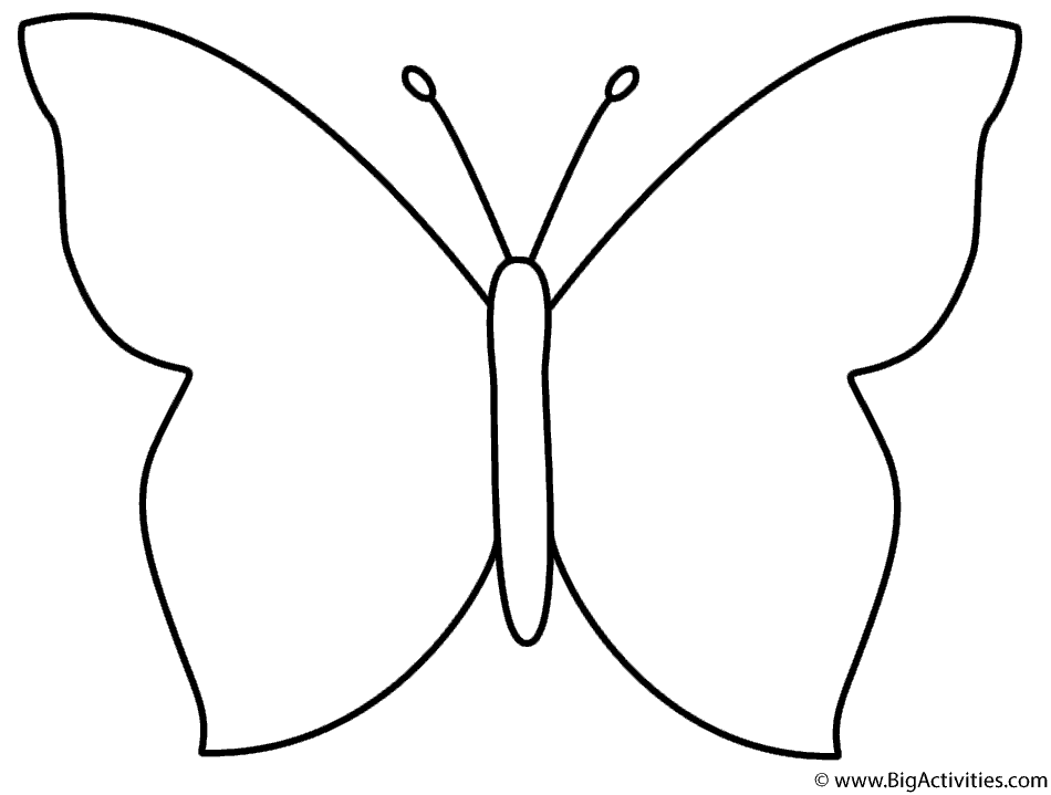 Photos Bild Galeria BUTTERFLY OUTLINE COLORING PAGES
