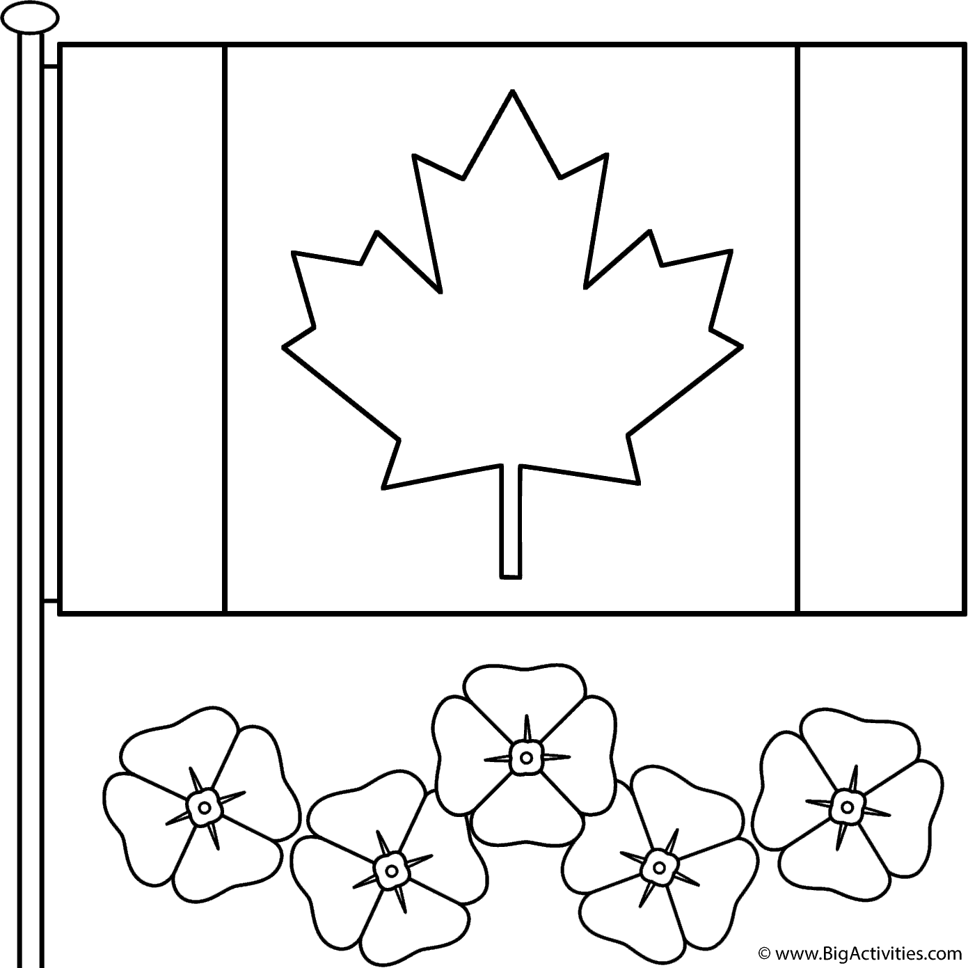 Canadian Flag with poppies - Coloring Page (Remembrance Day)