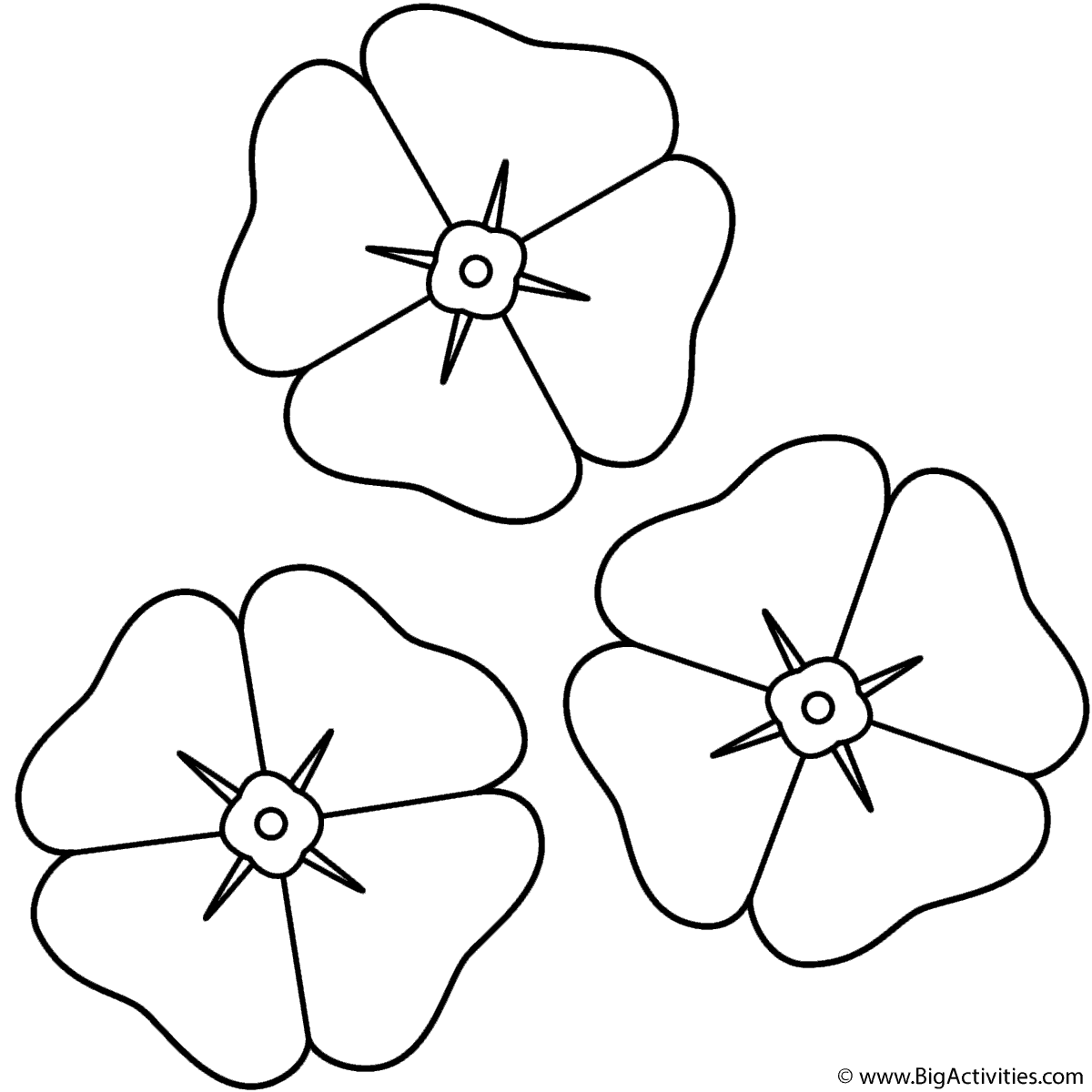 Poppies - Coloring Page (Anzac Day)