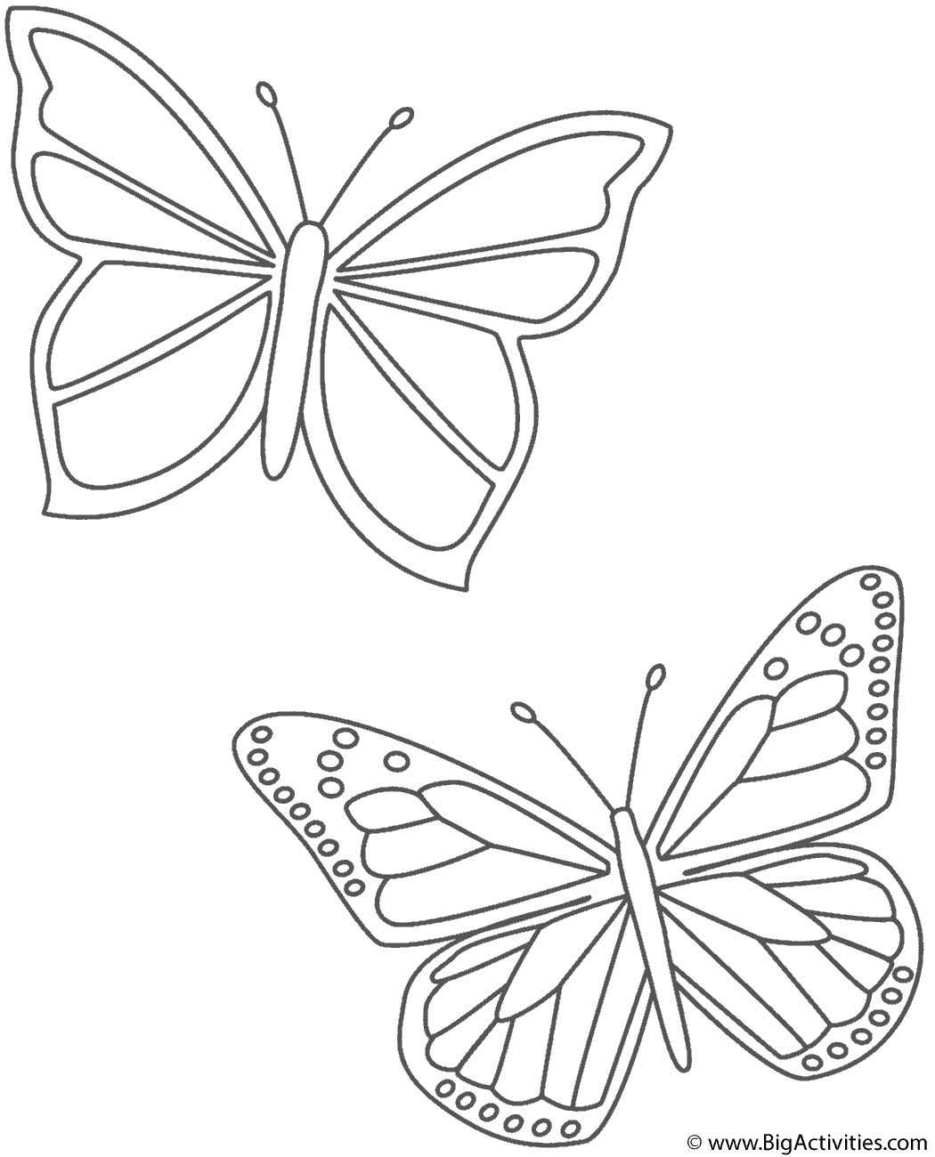 coloring pictures of butterflies