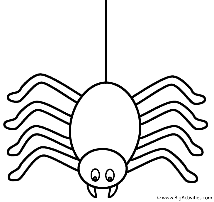 Spider on thread - Coloring Page (Insects)
