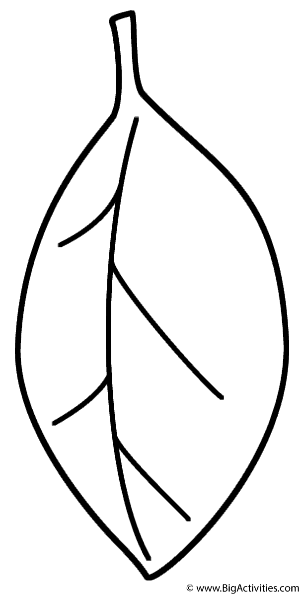 76 Coloring Pages Leaf  HD