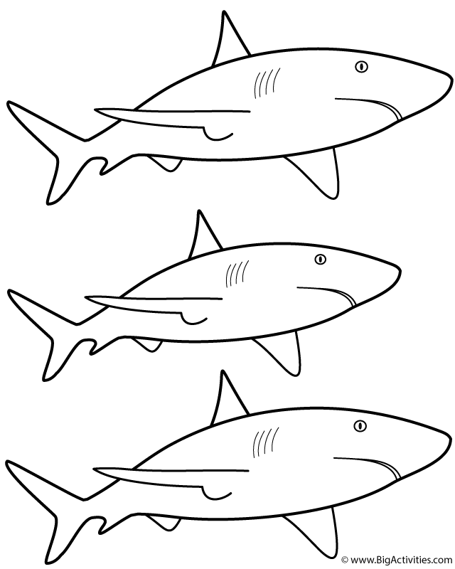 3 great white sharks  coloring page sea/marine
